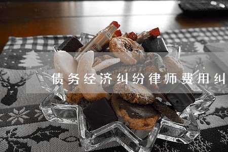 债务经济纠纷律师费用纠纷 债务经济纠纷律师费用纠纷
