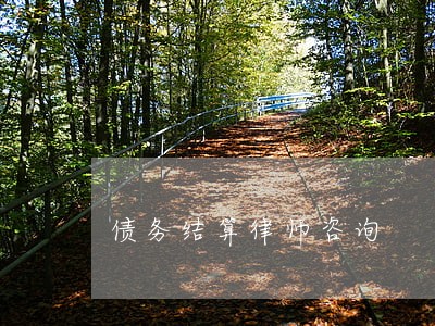债务结算律师咨询 债务结算律师咨询