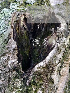 债务结算律师怎么收费 债务结算律师怎么收费