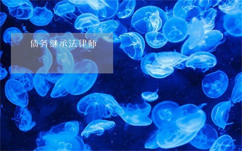 债务继承法律师