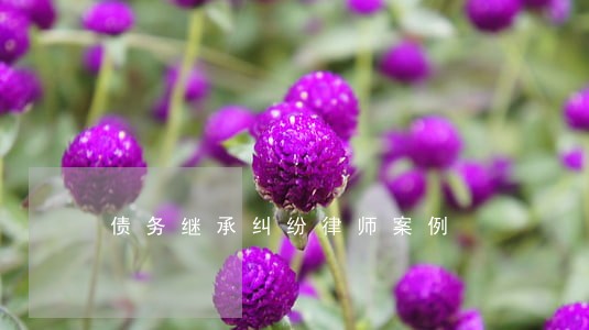 债务继承纠纷律师案例 债务继承纠纷律师案例