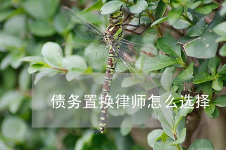 债务置换律师怎么选择 债务置换律师怎么选择