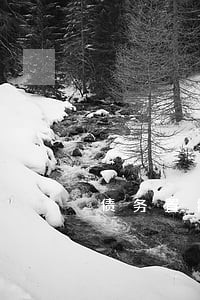 债务置换律师电话号码 债务置换律师电话号码