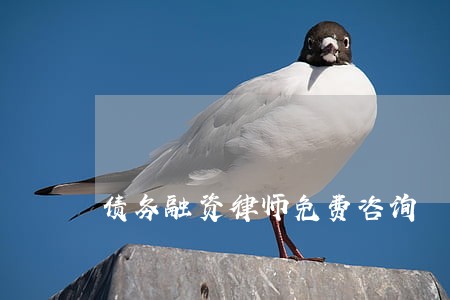 债务融资律师免费咨询 债务融资律师免费咨询
