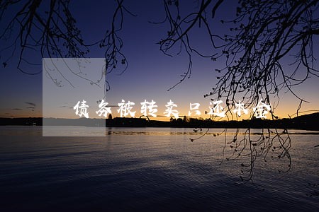 债务被转卖只还本金 债务被转卖只还本金