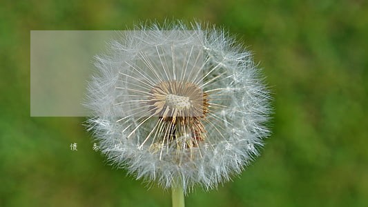 债务规划信用卡逾期 债务规划信用卡逾期