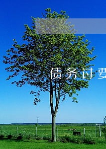 债务讨要2年无果怎么起诉律师 债务讨要2年无果怎么起诉律师