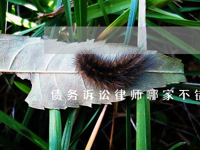 债务诉讼律师哪家不错