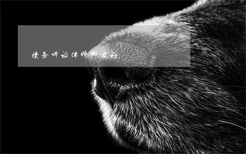 债务诉讼律师哪家好 债务诉讼律师哪家好