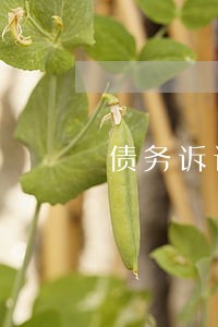 债务诉讼律师法律援助 债务诉讼律师法律援助
