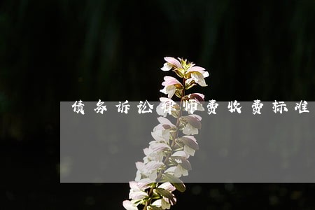 债务诉讼律师费收费标准如何 债务诉讼律师费收费标准如何