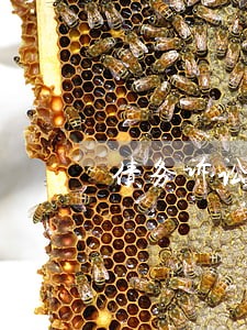 债务诉讼律师费用咨询 债务诉讼律师费用咨询