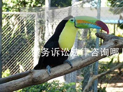 债务诉讼法律咨询哪儿好 债务诉讼法律咨询哪儿好