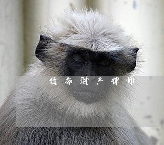 债务财产律师 债务财产律师