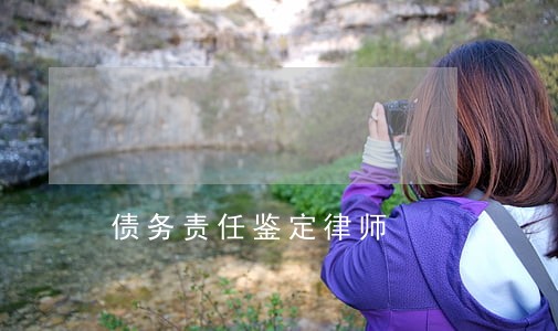 债务责任鉴定律师 债务责任鉴定律师