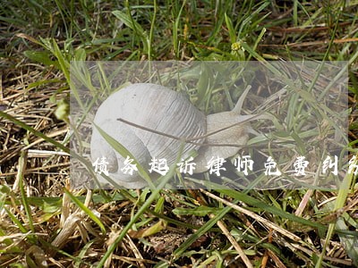 债务起诉律师免费纠纷咨询 债务起诉律师免费纠纷咨询