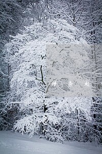 债务起诉律师咨询