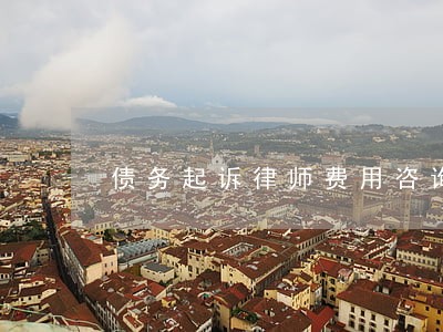 债务起诉律师费用咨询 债务起诉律师费用咨询