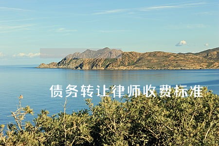 债务转让律师收费标准 债务转让律师收费标准