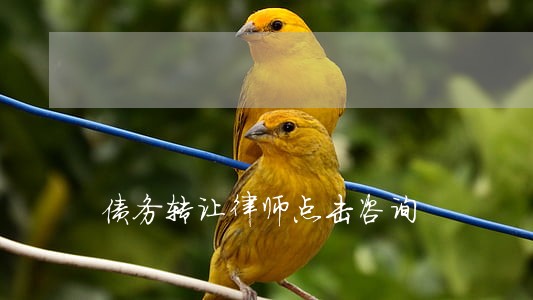 债务转让律师点击咨询 债务转让律师点击咨询