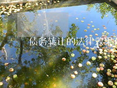 债务转让的法律效果有什么 债务转让的法律效果有什么