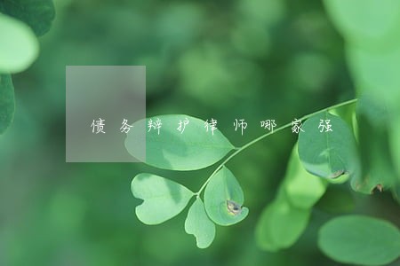 债务辩护律师哪家强 债务辩护律师哪家强