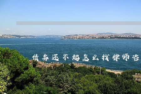债务还不起怎么找律师咨询