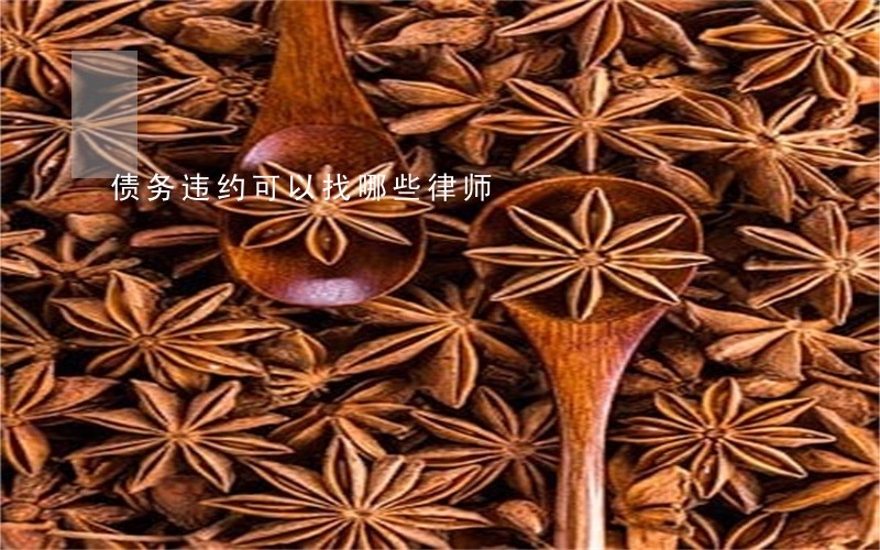 债务违约可以找哪些律师 债务违约可以找哪些律师