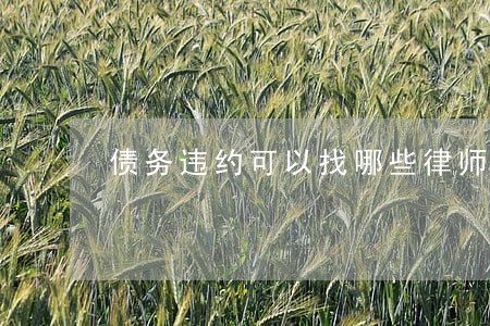 债务违约可以找哪些律师违约 债务违约可以找哪些律师违约