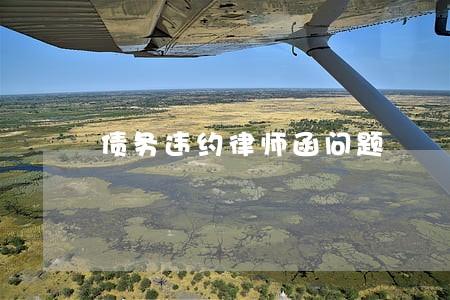 债务违约律师函问题 债务违约律师函问题