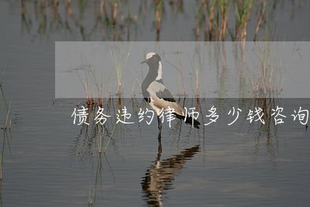 债务违约律师多少钱咨询 债务违约律师多少钱咨询