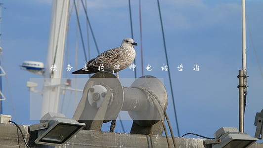 债务违约律师电话咨询 债务违约律师电话咨询