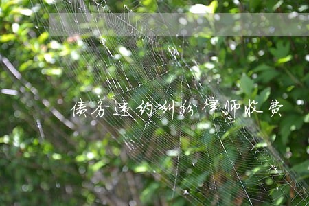 债务违约纠纷律师收费 债务违约纠纷律师收费