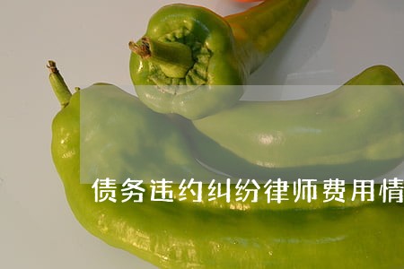 债务违约纠纷律师费用情况