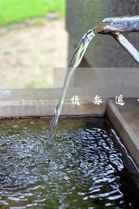 债务追偿律师有哪些 债务追偿律师有哪些