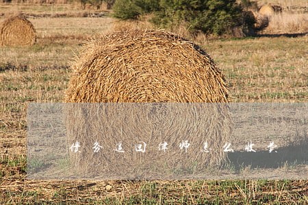 债务追回律师怎么收费 债务追回律师怎么收费