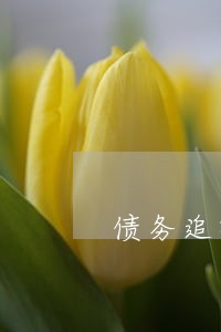 债务追收律师免费咨询 债务追收律师免费咨询