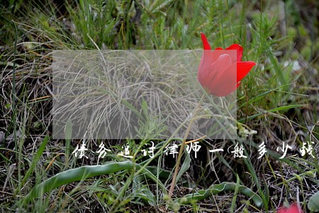 债务追讨律师一般多少钱 债务追讨律师一般多少钱