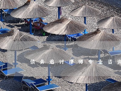 债务追讨律师专业咨询 债务追讨律师专业咨询