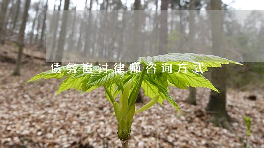 债务追讨律师咨询方式 债务追讨律师咨询方式
