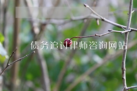 债务追讨律师咨询网站 债务追讨律师咨询网站