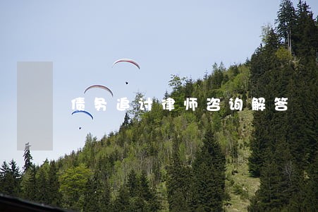 债务追讨律师咨询解答 债务追讨律师咨询解答