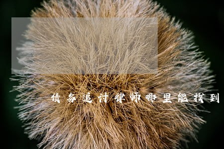 债务追讨律师哪里能找到 债务追讨律师哪里能找到