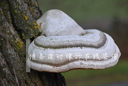 债务追讨律师在线咨询 债务追讨律师在线咨询