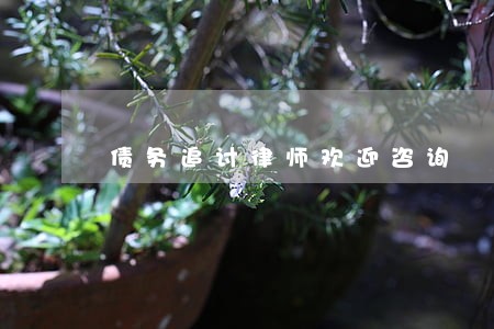 债务追讨律师欢迎咨询 债务追讨律师欢迎咨询