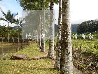 债务追讨律师请哪家 债务追讨律师请哪家