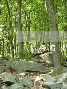 债务追讨律师问题 债务追讨律师问题