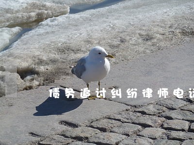 债务追讨纠纷律师电话问题 债务追讨纠纷律师电话问题