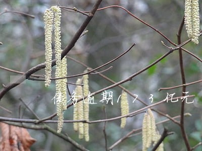 债务逾期173亿元 债务逾期173亿元