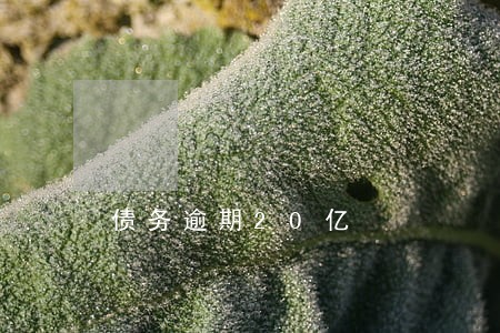 债务逾期20亿 债务逾期20亿